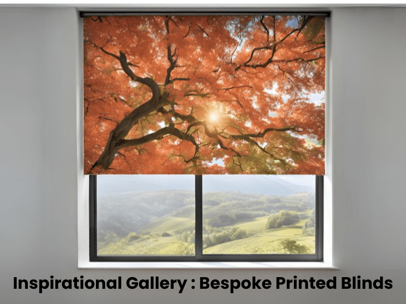 Vision Blinds Inspirational Gallery